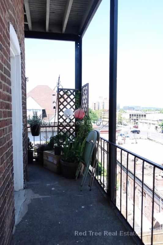 1 bed, 1 bath apartment for rent at 56 Park Vale Ave Unit 14, Allston — photo 4 of 10