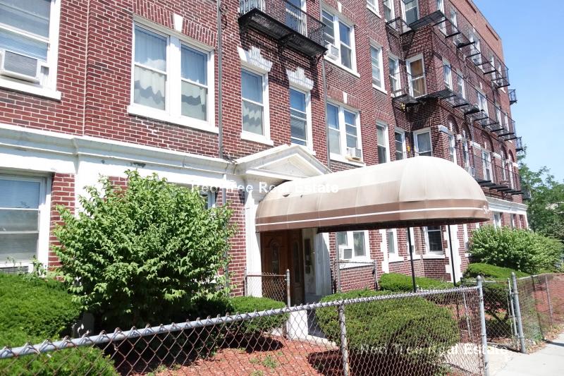 1 bed, 1 bath apartment for rent at 56 Park Vale Ave Unit 6, Allston — photo 16 of 16