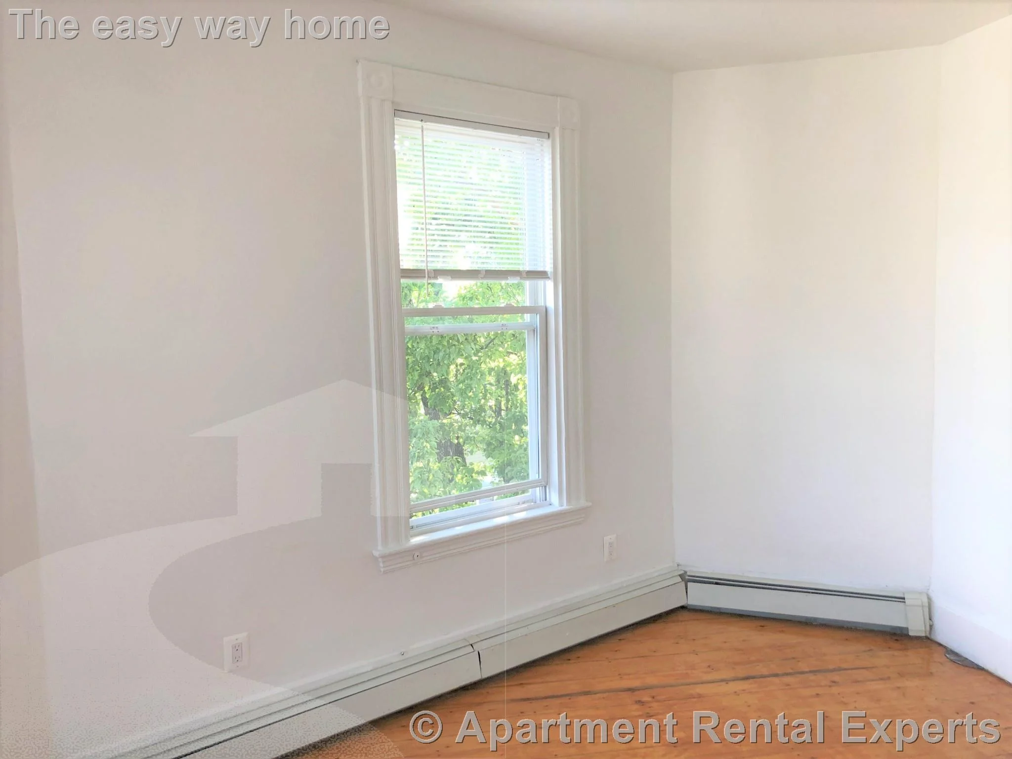 2 bed, 1 bath apartment for rent at 56 Portsmouth St Unit 3, Kendall Square — photo 4 of 16