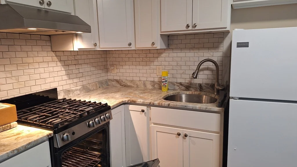 1 bed, 1 bath apartment for rent at 564 Dartmouth St Unit 1F, Bliss Corner — photo 3 of 11