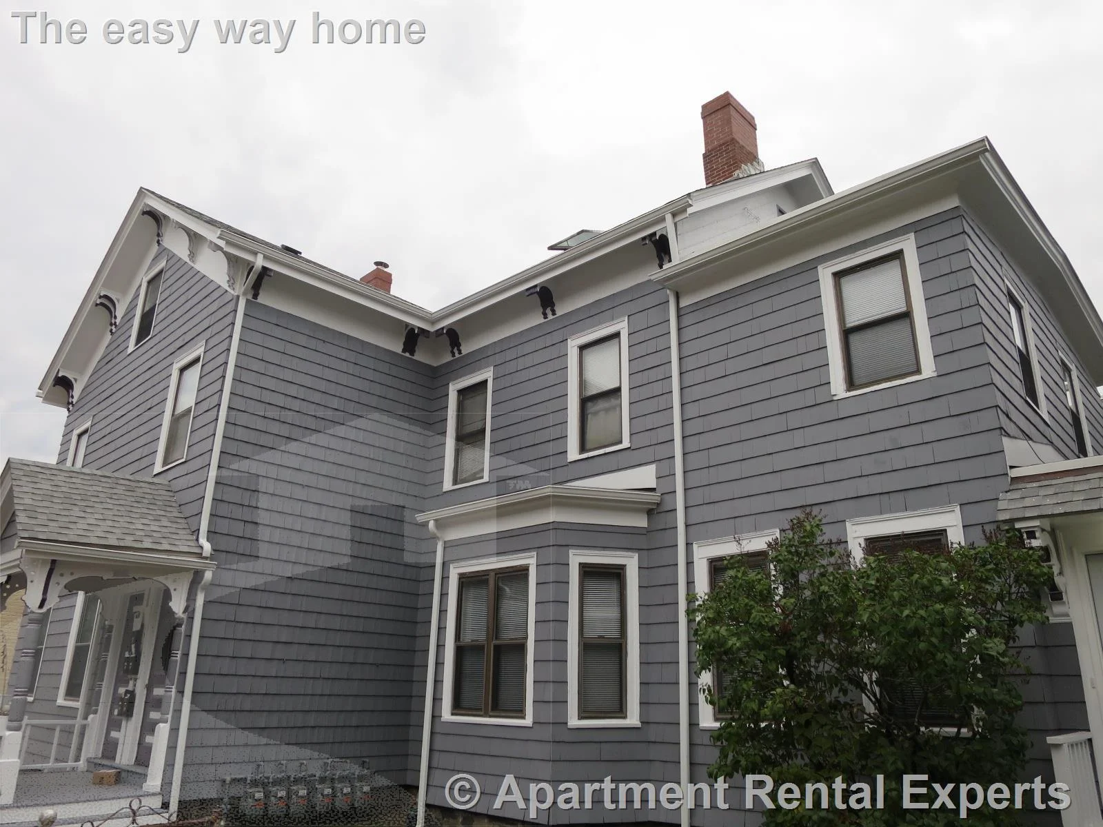 1 bed, 1 bath apartment for rent at 564 Putnam Ave Unit 1R, Cambridgeport — photo 15 of 15