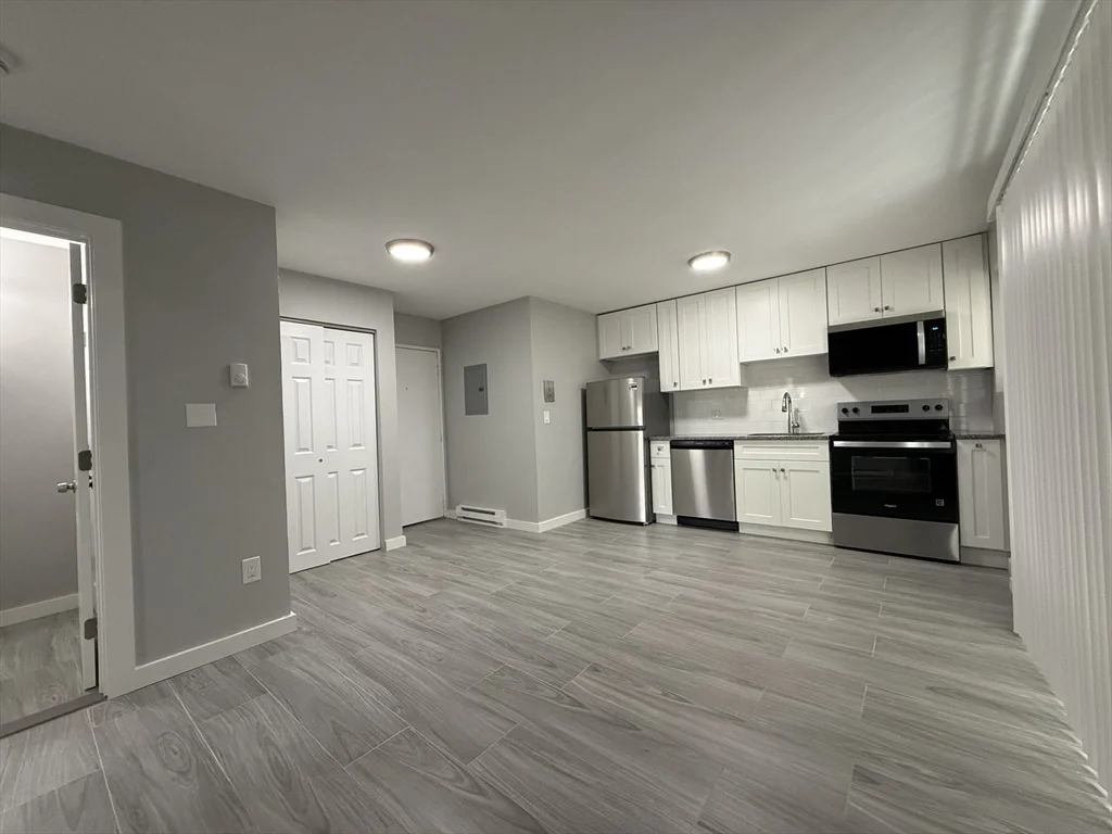 1 bed, 1 bath apartment for rent at 565 Hyde Park Ave Unit 2, Roslindale — photo 2 of 10