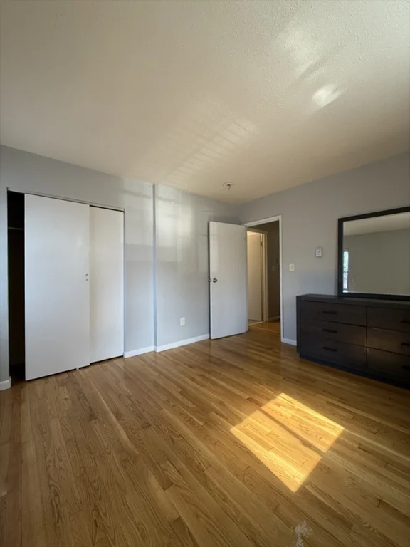 1 bed, 1 bath apartment for rent at 565 Hyde Park Ave Unit 5, Roslindale — photo 4 of 10
