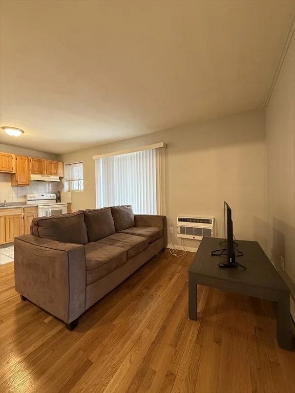 1 bed, 1 bath apartment for rent at 565 Hyde Park Ave Unit 5, Roslindale — photo 3 of 10