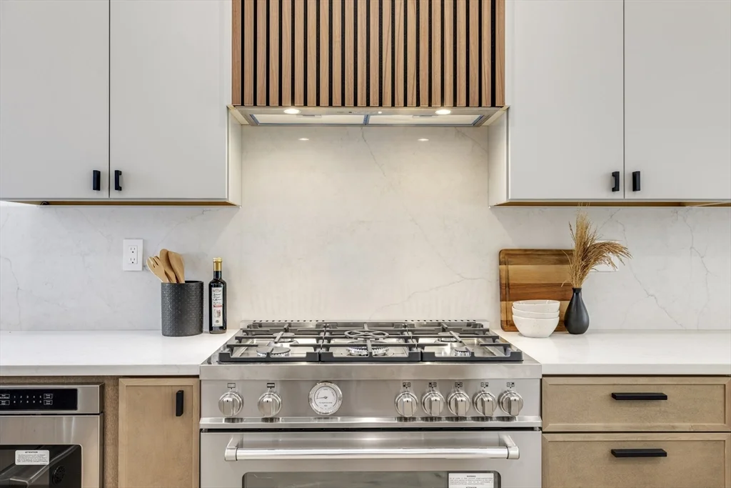 2 bed, 2 bath apartment for rent at 566 East 3rd St Unit 2, South Boston — photo 3 of 20