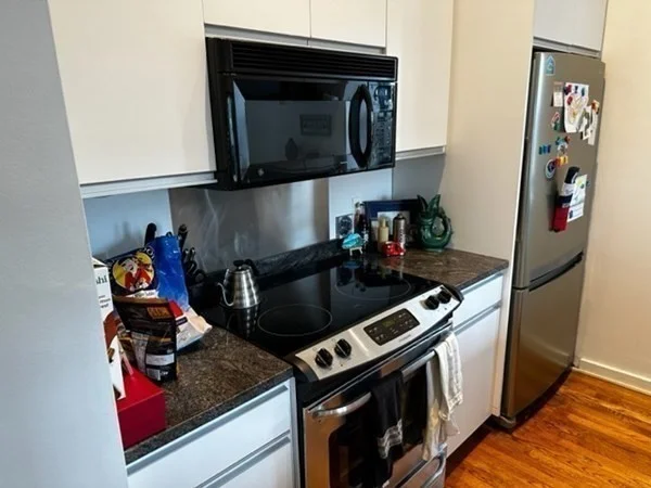 2 bed, 1 bath apartment for rent at 567 Tremont St Unit 13, South End — photo 4 of 13