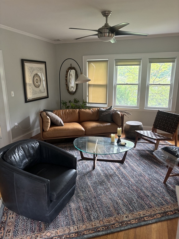 3 bed, 1 bath apartment for rent at 569 Commonwealth Ave Unit 2, Newton — photo 3 of 21