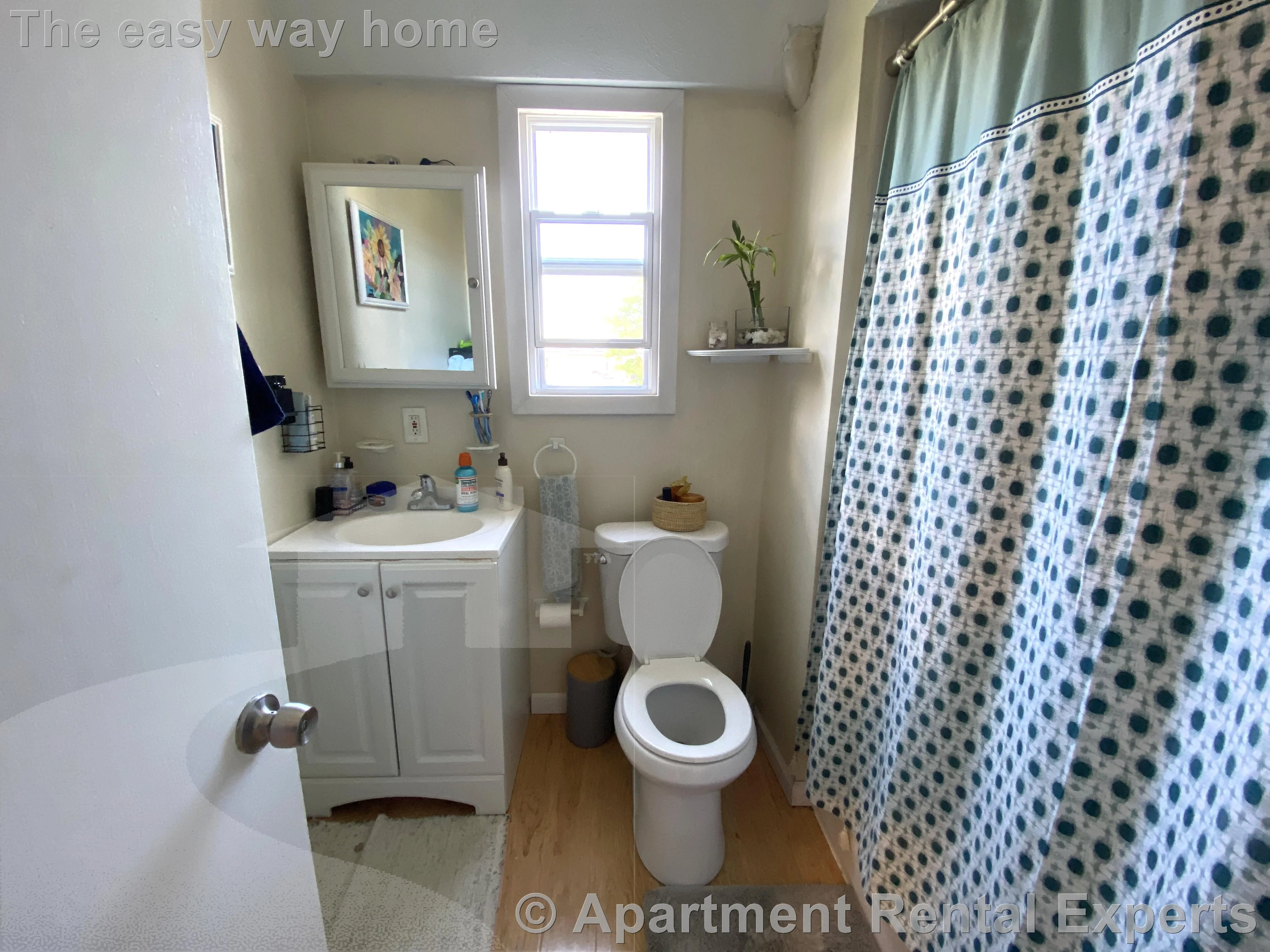 1 bed, 1 bath apartment for rent at 57 Bishop Allen Dr Unit 3R, Central Square — photo 8 of 10