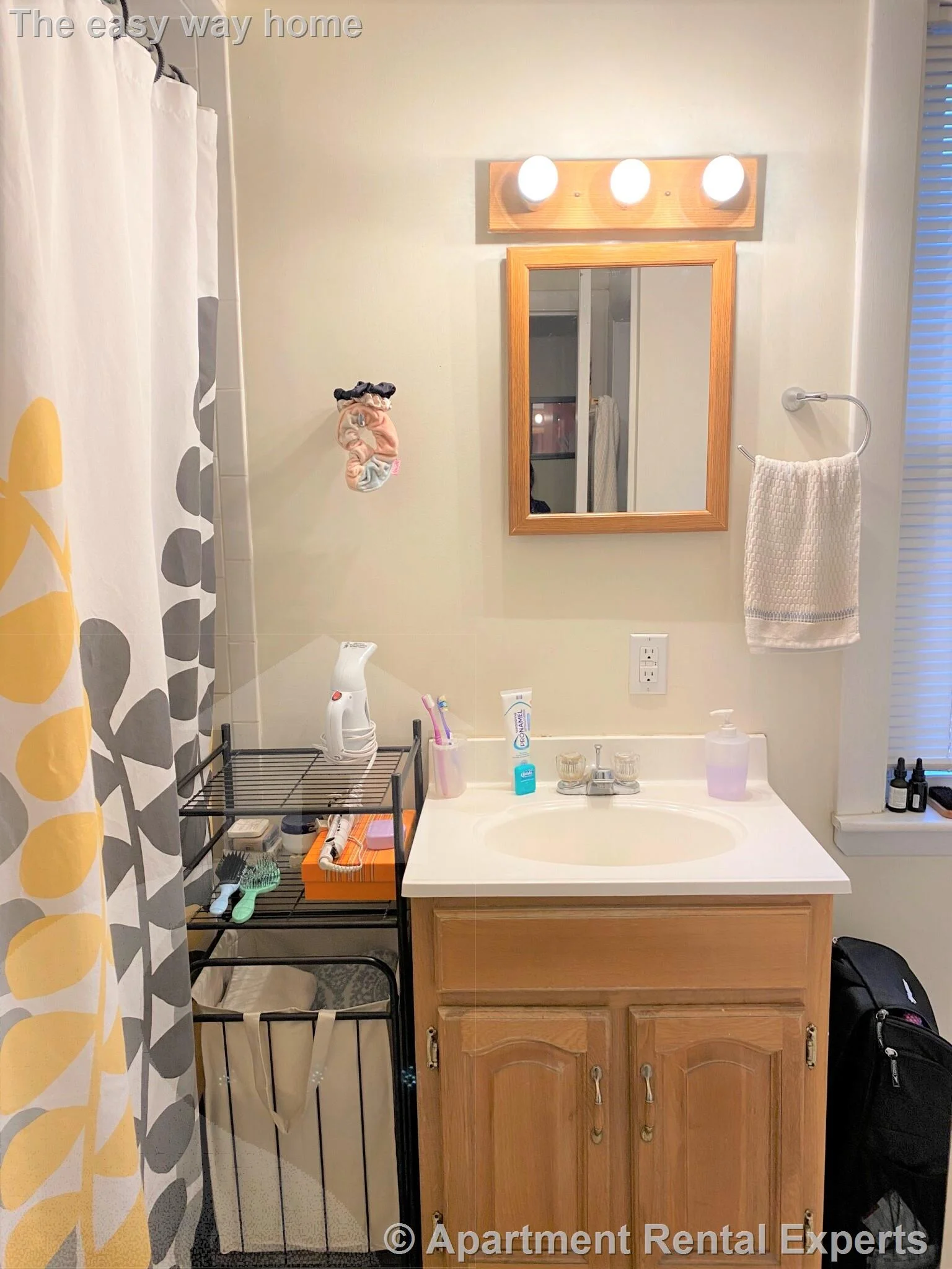 1 bed, 1 bath apartment for rent at 57 Cedar St Unit 4, North Cambridge — photo 3 of 9