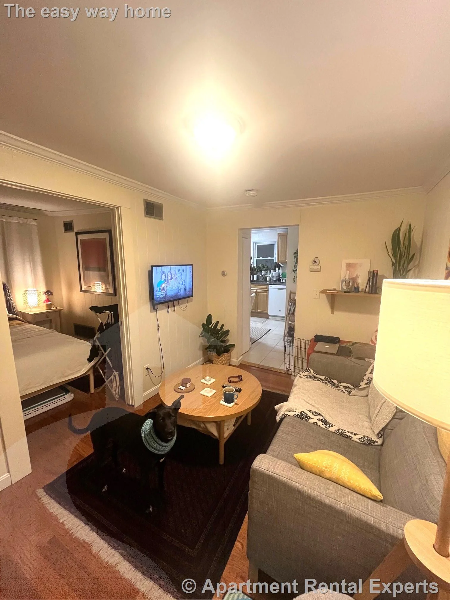 1 bed, 1 bath apartment for rent at 57 Cedar St Unit 6, North Cambridge — photo 6 of 10