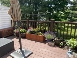 3 bed, 2 bath apartment for rent at 57 Lowell Unit 57, Watertown — photo 2 of 10