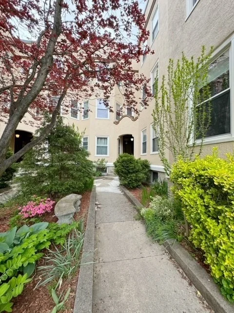 1 bed, 1 bath apartment for rent at 57 Magazine St Unit 3, Central Square — photo 19 of 19