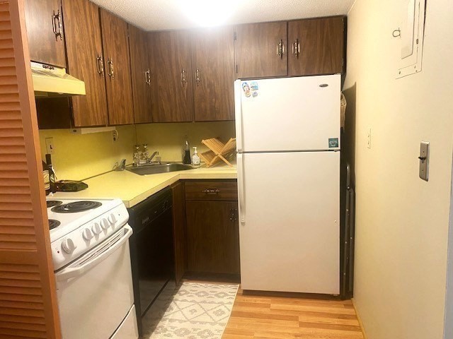 1 bed, 1 bath apartment for rent at 57 Saint Paul St Unit 4, Coolidge Corner — photo 6 of 11