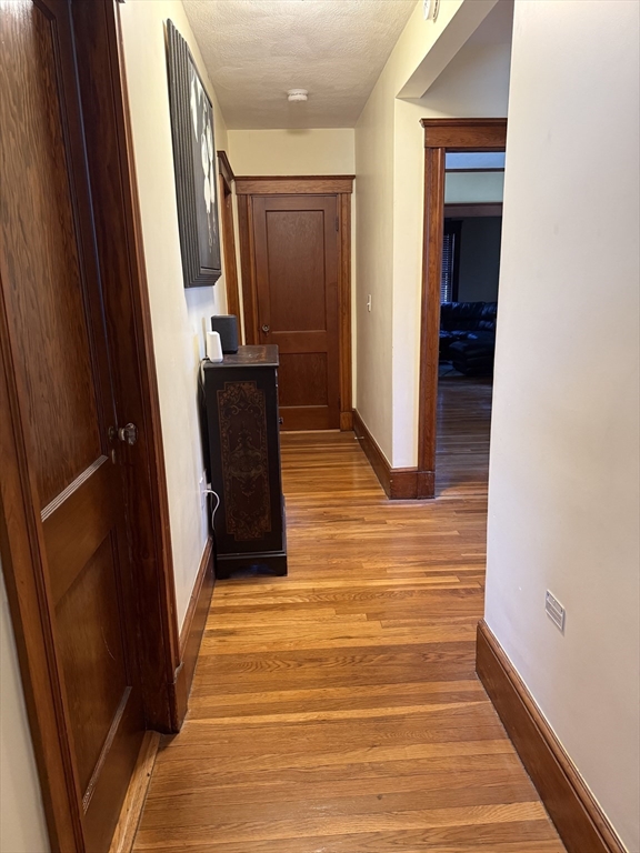 3 bed, 1 bath apartment for rent at 57 W Milton Unit -, Hyde Park — photo 4 of 21