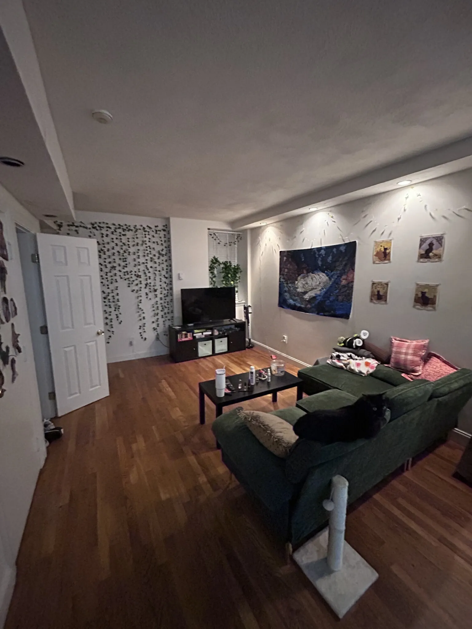 3 bed, 2 bath apartment for rent at 57 Westland Ave Unit 1, Fenway — photo 2 of 66
