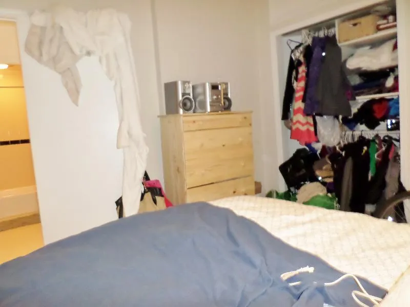 1 bed, 1 bath apartment for rent at 57 Westland Ave Unit 2, Fenway — photo 8 of 42