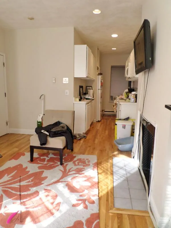 1 bed, 1 bath apartment for rent at 57 Westland Ave Unit 2, Fenway — photo 3 of 42