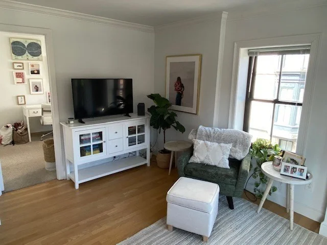 2 bed, 1 bath apartment for rent at 575 Tremont St Unit 102, South End — photo 3 of 14