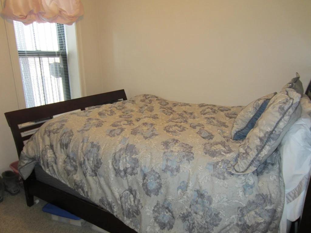 2 bed, 1 bath apartment for rent at 575 Tremont St Unit 201, South End — photo 9 of 13