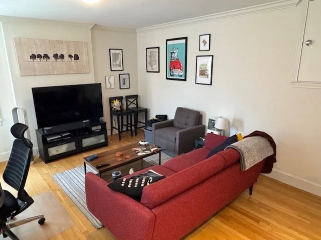 1 bed, 1 bath apartment for rent at 575 Tremont St Unit 303, South End — photo 1 of 15