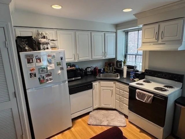 1 bed, 1 bath apartment for rent at 575 Tremont St Unit 303, South End — photo 6 of 15