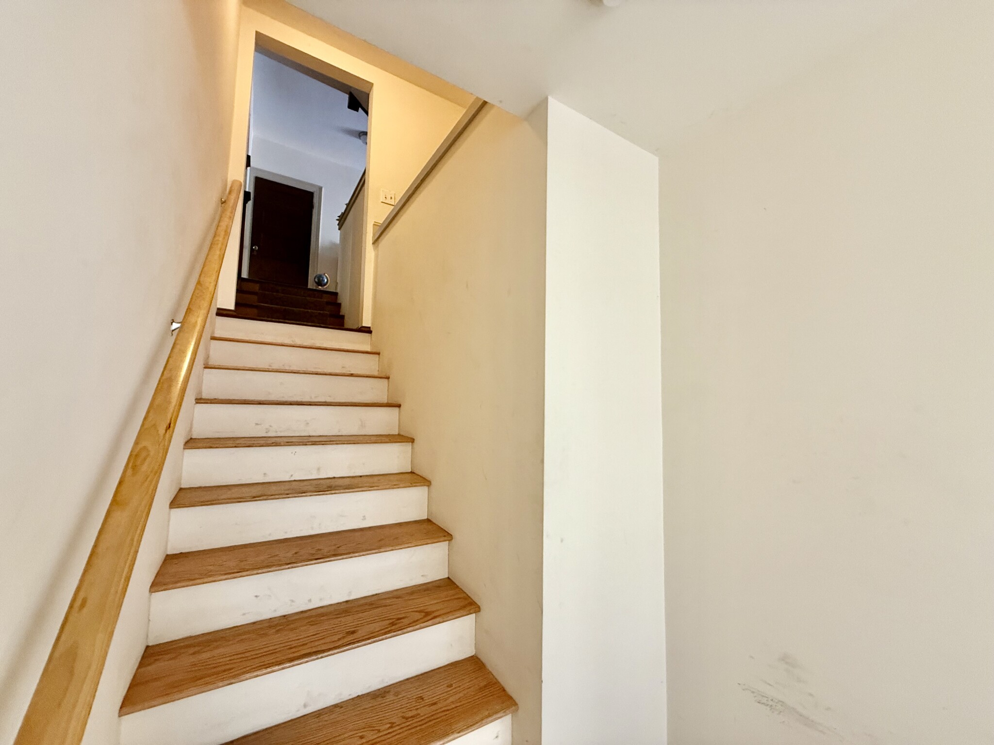 6 bed, 3 bath apartment for rent at 58 Englewood Ave Unit 2, Brighton — photo 24 of 25