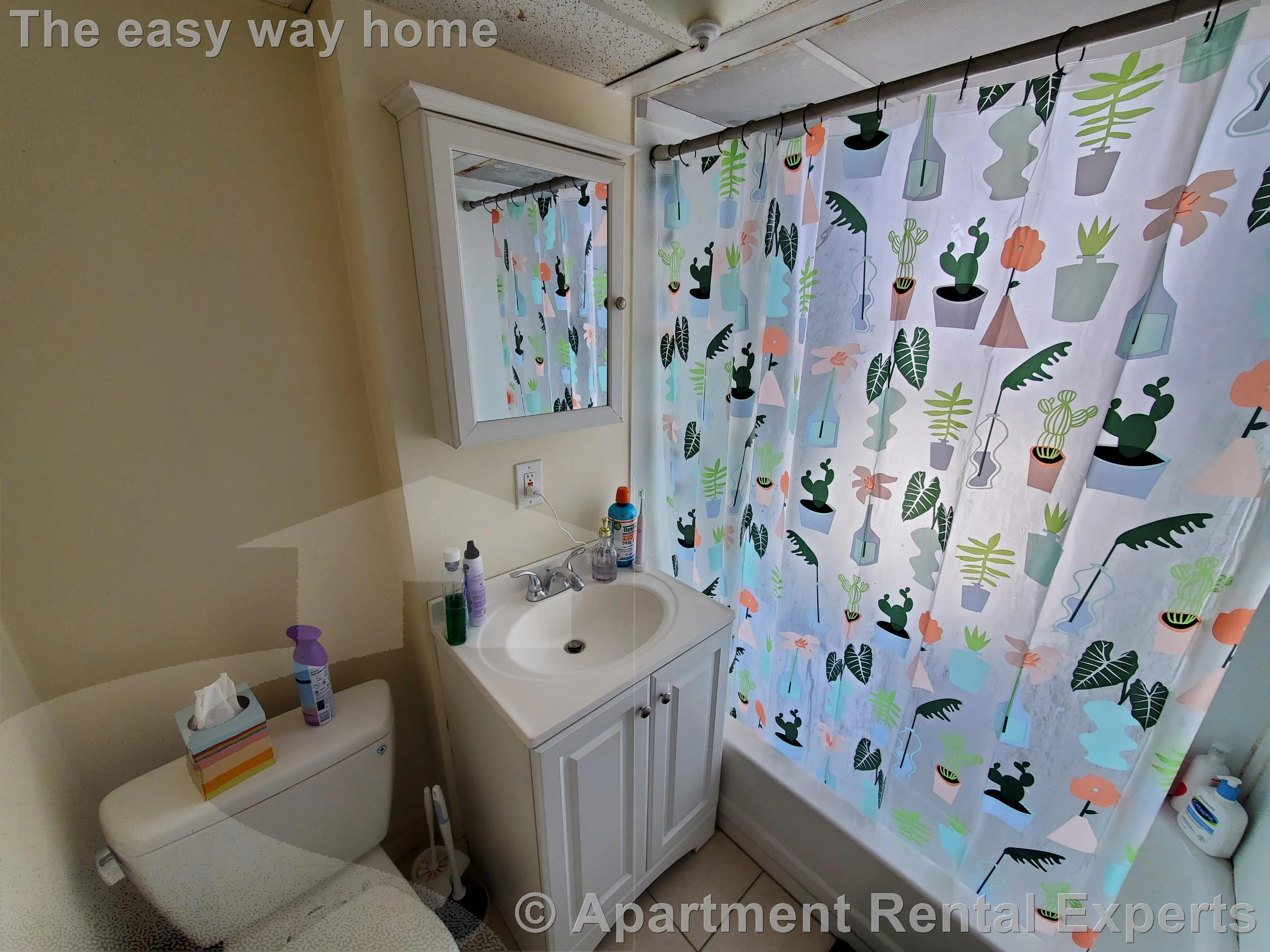 3 bed, 1 bath apartment for rent at 58 Medford St Unit 2, Union Square — photo 6 of 8