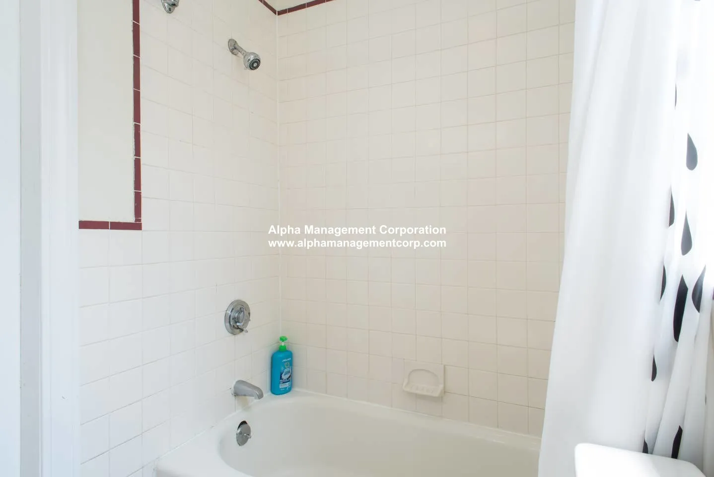 2 bed, 1 bath apartment for rent at 58 Queensberry St Unit 19, Fenway — photo 13 of 18