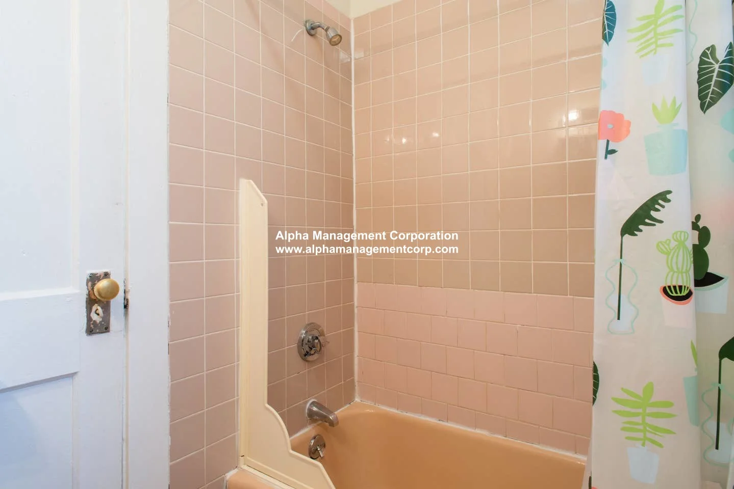 2 bed, 1 bath apartment for rent at 58 Queensberry St Unit 8, Fenway — photo 9 of 9