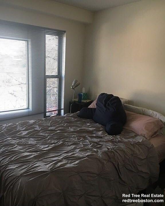 1 bed, 1 bath apartment for rent at 59 Brainerd Rd Unit 413, Allston — photo 4 of 16