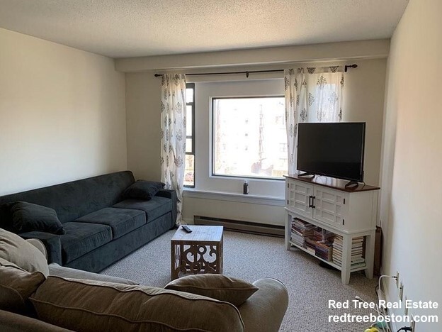 1 bed, 1 bath apartment for rent at 59 Brainerd Rd Unit 413, Allston — photo 7 of 16