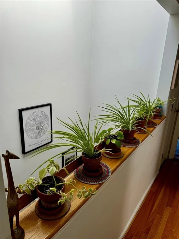 2 bed, 1 bath apartment for rent at 59 Clarendon St Unit 5, South End — photo 7 of 9