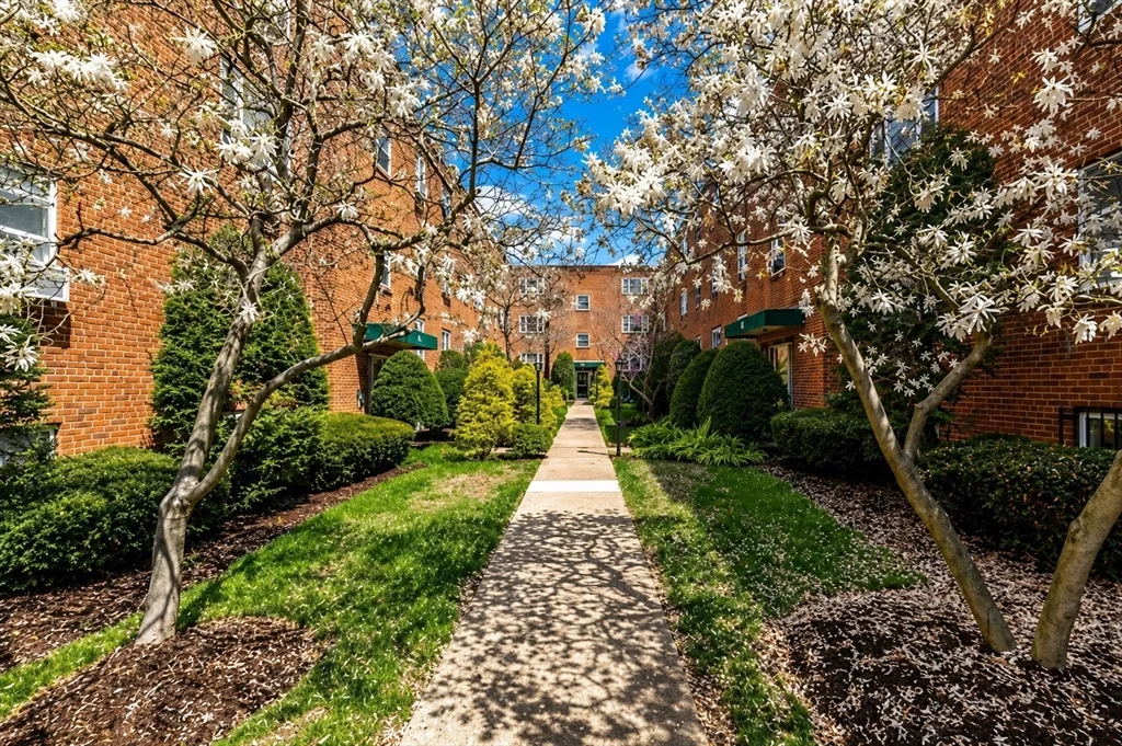 1 bed, 1 bath apartment for rent at 59 Colborne Rd Unit 2, Brighton — photo 9 of 13