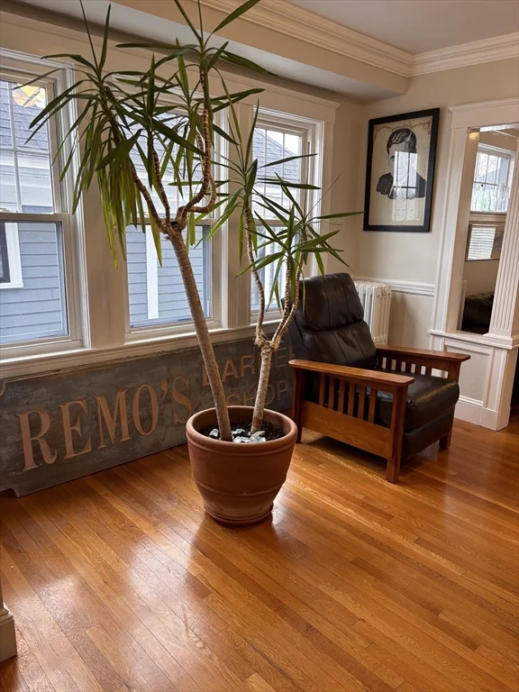 2 bed, 1 bath apartment for rent at 59 Morton Ave Unit 2, Medford — photo 4 of 9