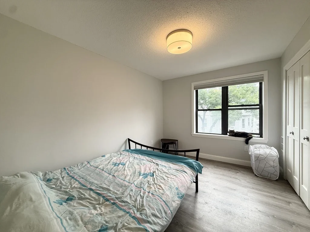 2 bed, 1 bath apartment for rent at 59 Msgr P J Lydon Way Unit 310, Dorchester — photo 7 of 14