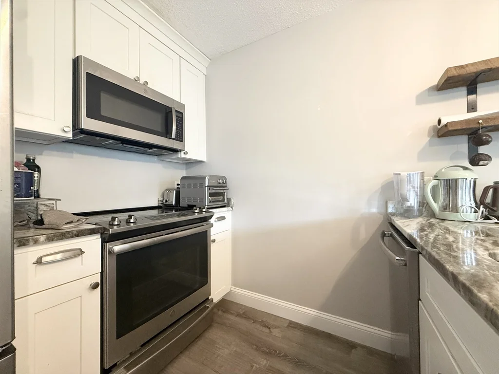 2 bed, 1 bath apartment for rent at 59 Msgr P J Lydon Way Unit 310, Dorchester — photo 2 of 14