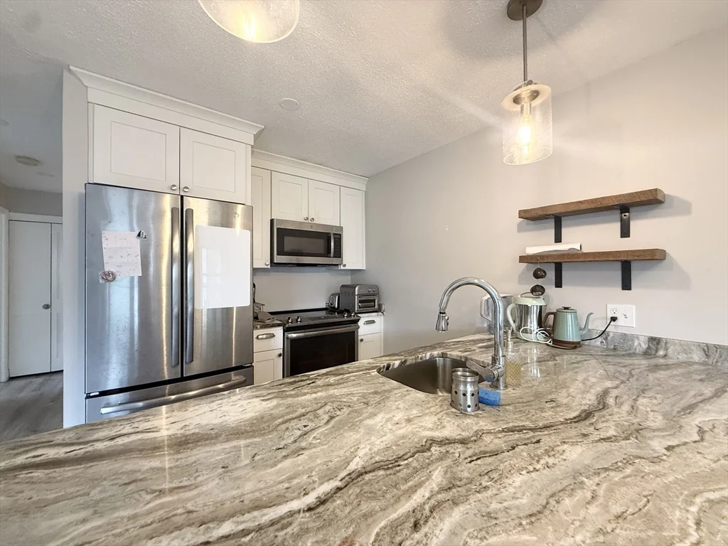 2 bed, 1 bath apartment for rent at 59 Msgr P J Lydon Way Unit 310, Dorchester — photo 3 of 14