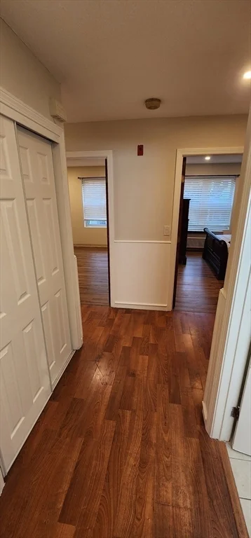 2 bed, 1 bath apartment for rent at 59 Msgr Patrick J Lydon Way Unit 210, Boston — photo 4 of 11