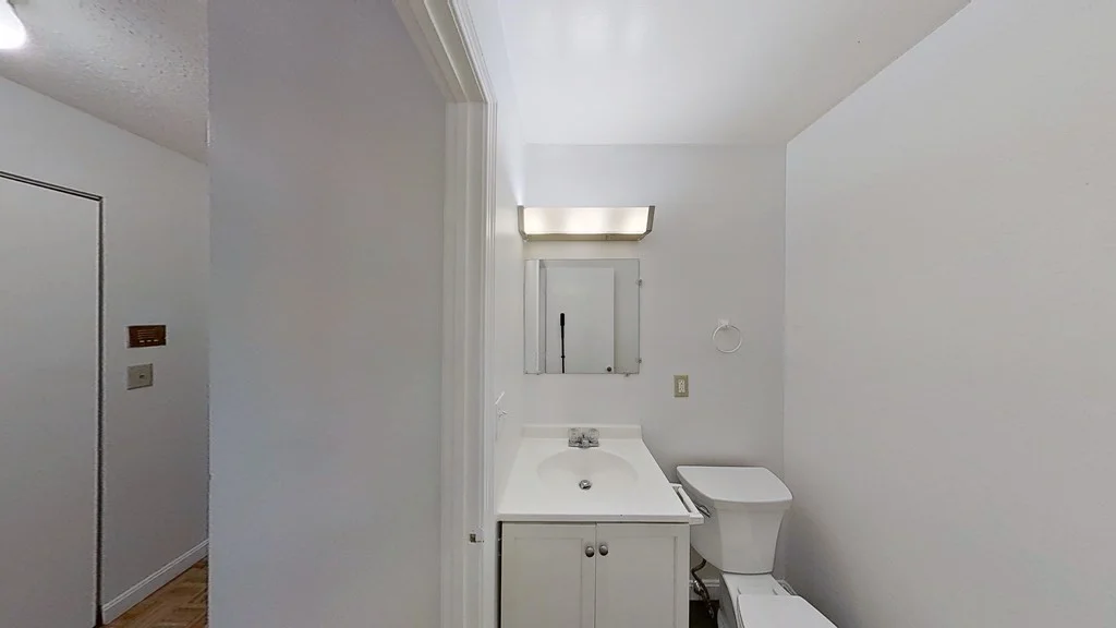 1 bed, 1 bath apartment for rent at 59 Msgr Patrick J Lydon Way Unit 408, Dorchester — photo 11 of 20