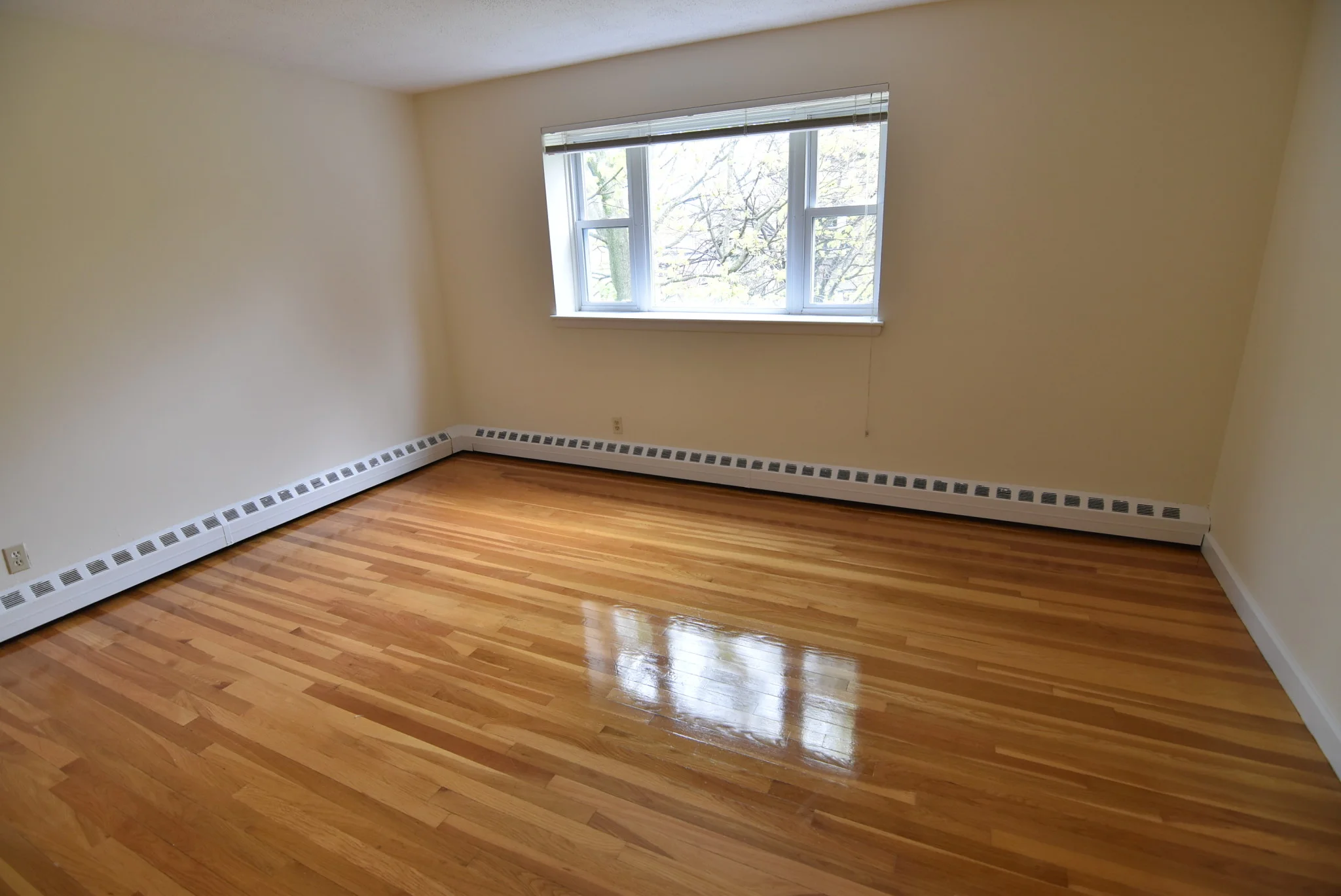 2 bed, 1 bath apartment for rent at 59 Parkman St Unit 3A, Coolidge Corner — photo 3 of 4