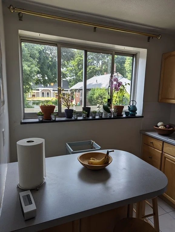 2 bed, 1 bath apartment for rent at 59 Saint Paul St Unit 2, Brookline — photo 8 of 29