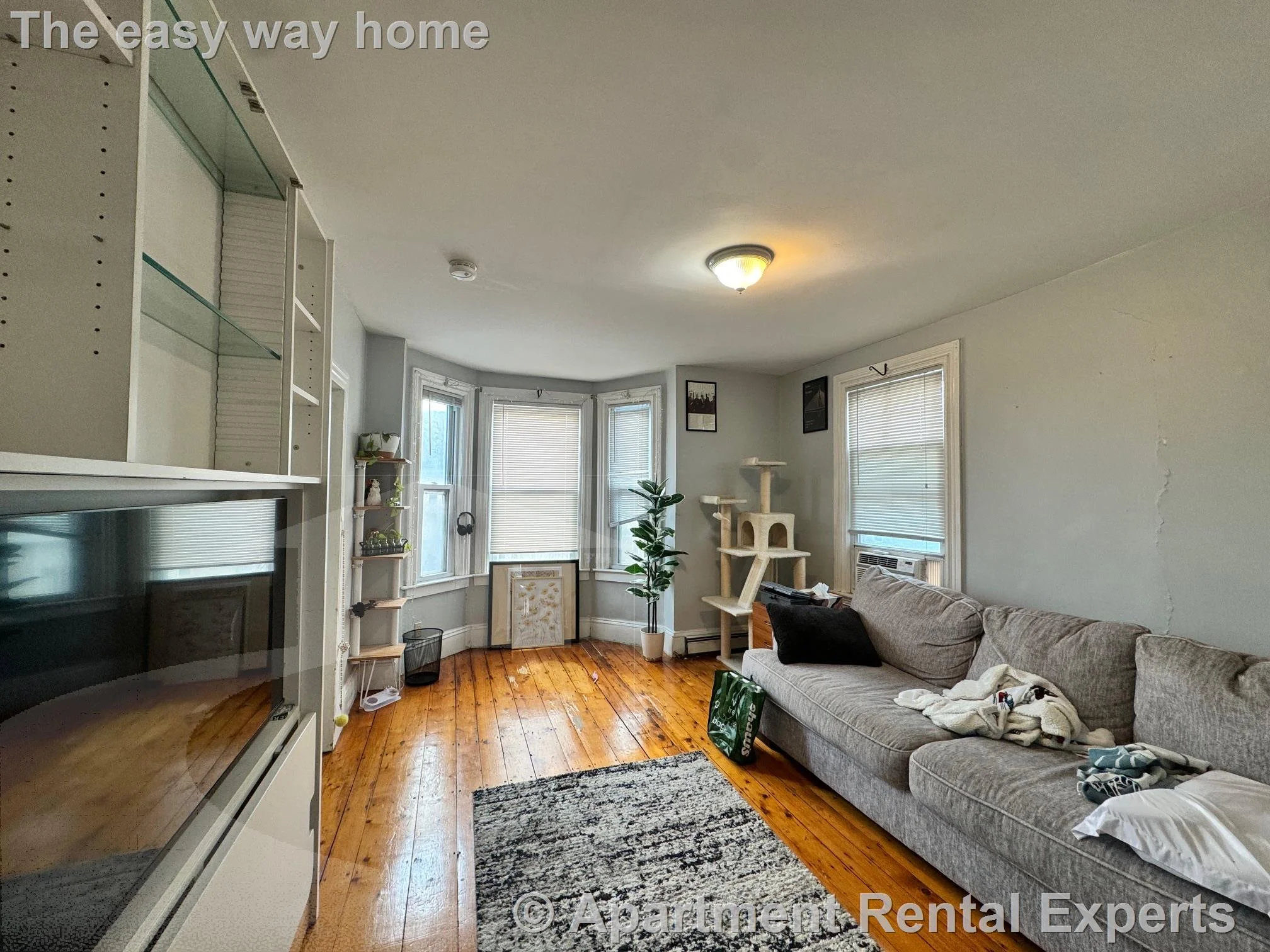 1 bed, 1 bath apartment for rent at 59 Summer St Unit 3, Union Square — photo 9 of 14