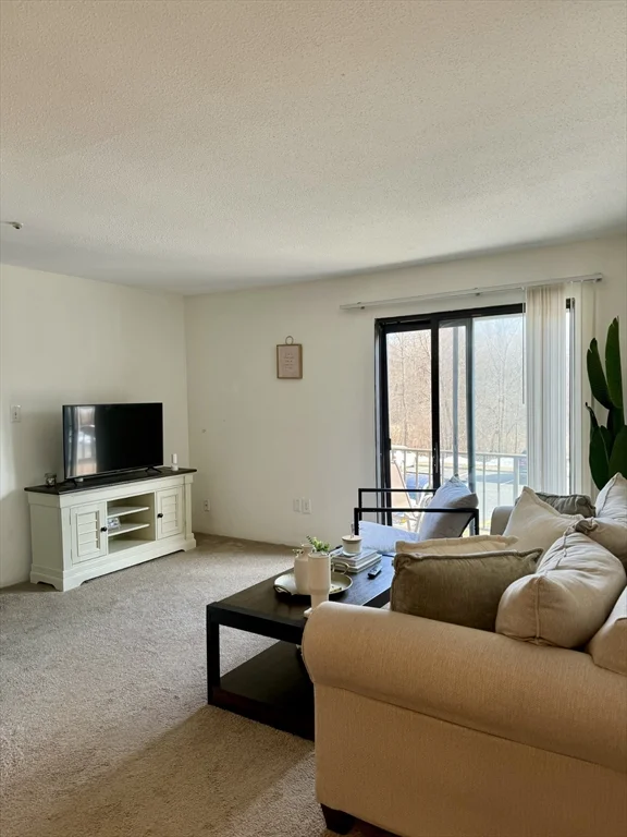 2 bed, 2 bath apartment for rent at 59 Village Brook Ln Unit 5, Natick — photo 5 of 18