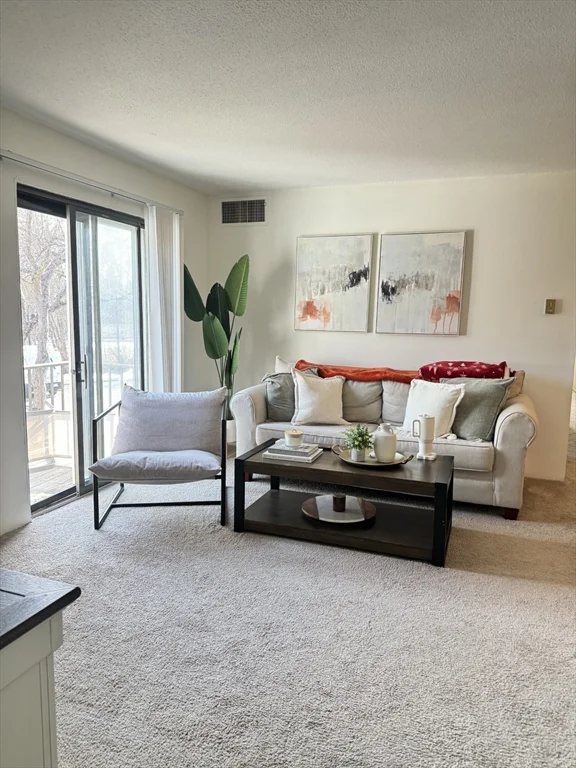 2 bed, 2 bath apartment for rent at 59 Village Brook Ln Unit 5, Natick — photo 3 of 18