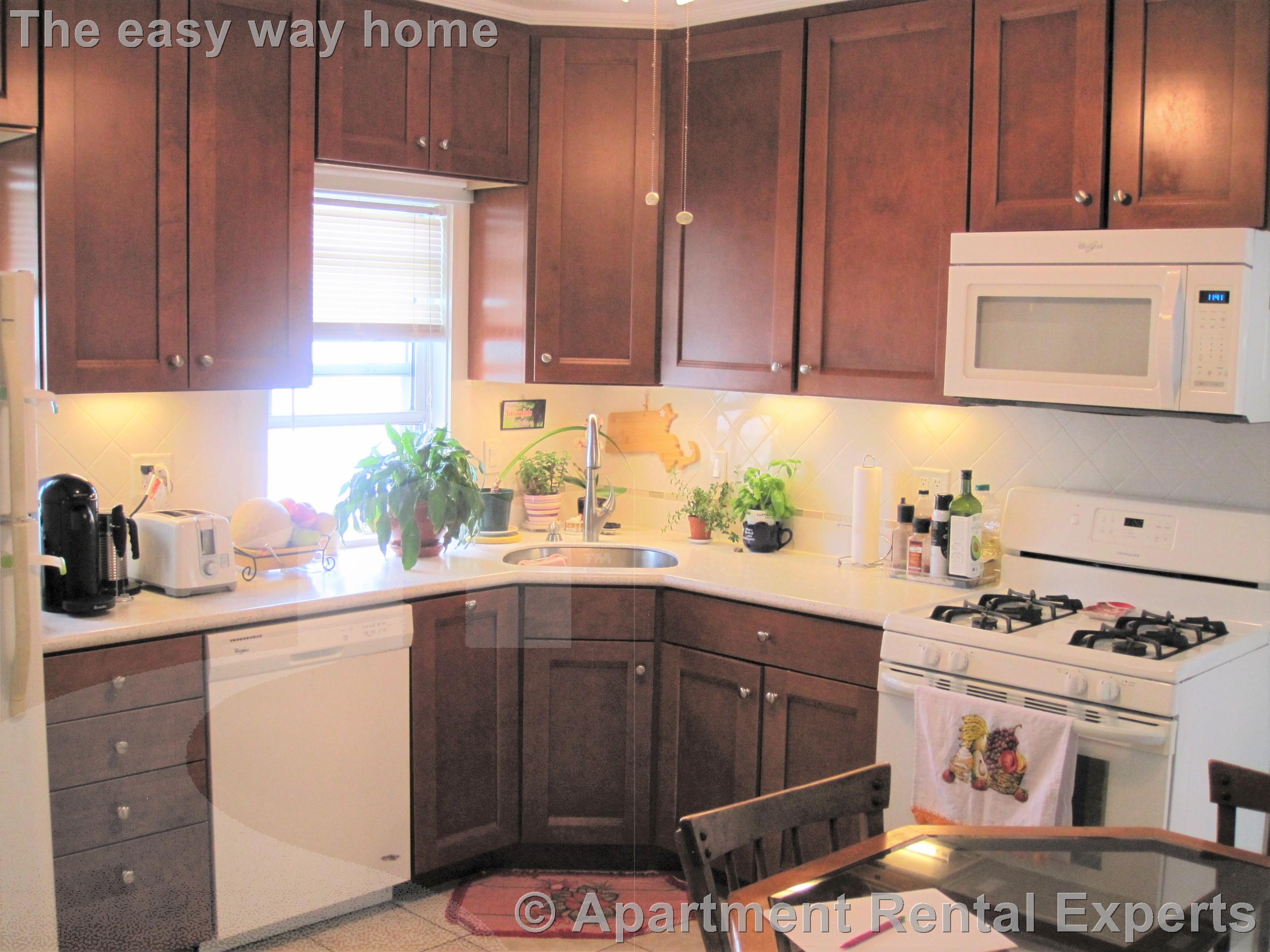 2 bed, 1 bath apartment for rent at 59 Windsor Rd, Tufts