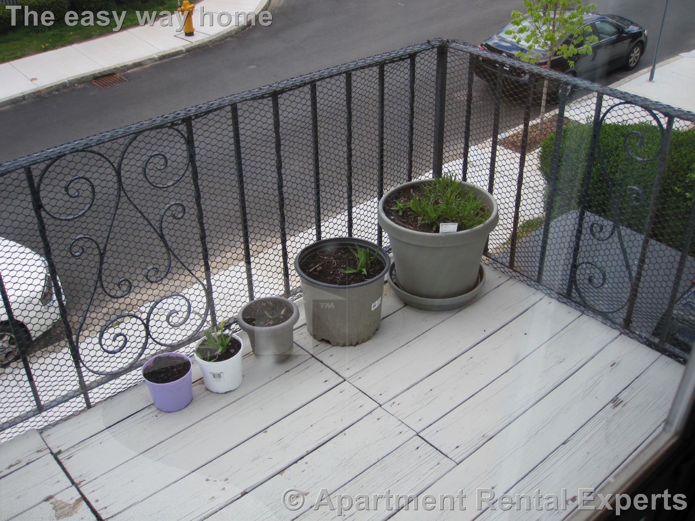 2 bed, 1 bath apartment for rent at 59 Windsor Rd, Tufts — photo 17 of 21