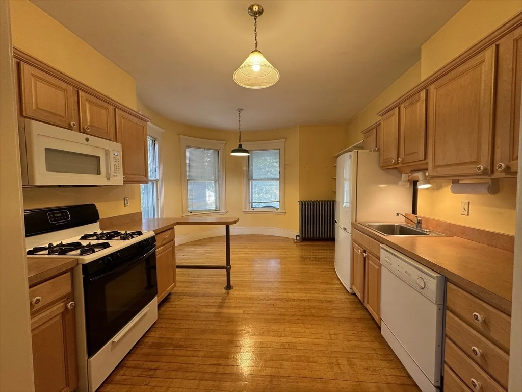 1 bed, 1 bath apartment for rent at 590 Cambridge St Unit 1, Allston — photo 2 of 18