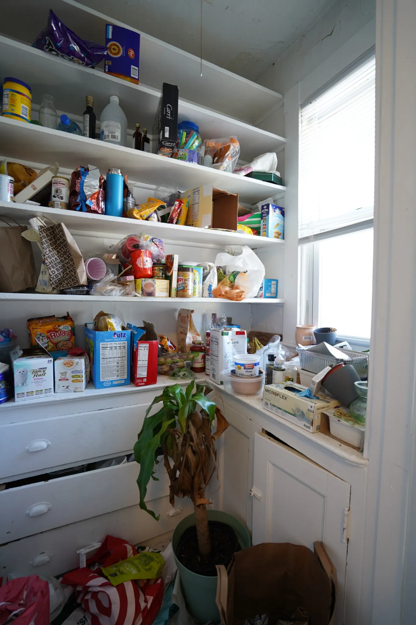 4 bed, 2 bath apartment for rent at 6 Ashford Ct Unit 3, Allston — photo 20 of 22