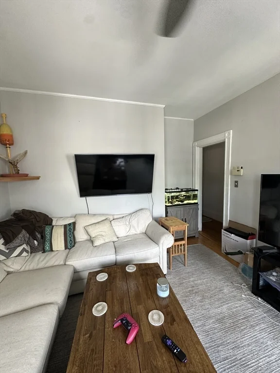 3 bed, 1 bath apartment for rent at 6 Bellflower St Unit 3, Dorchester — photo 2 of 8
