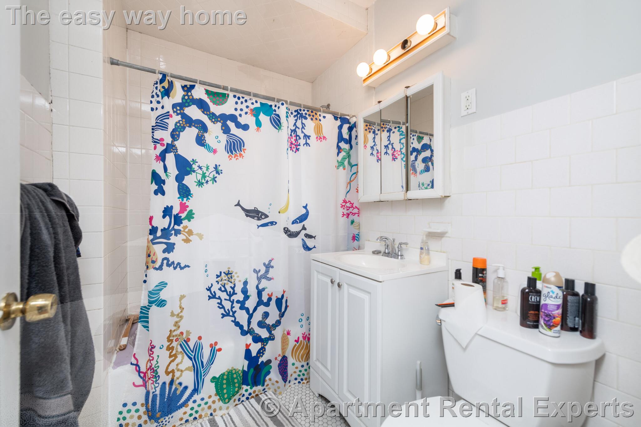 6 bed, 2 bath apartment for rent at 6 Belmont St Unit 1, Spring Hill — photo 5 of 12